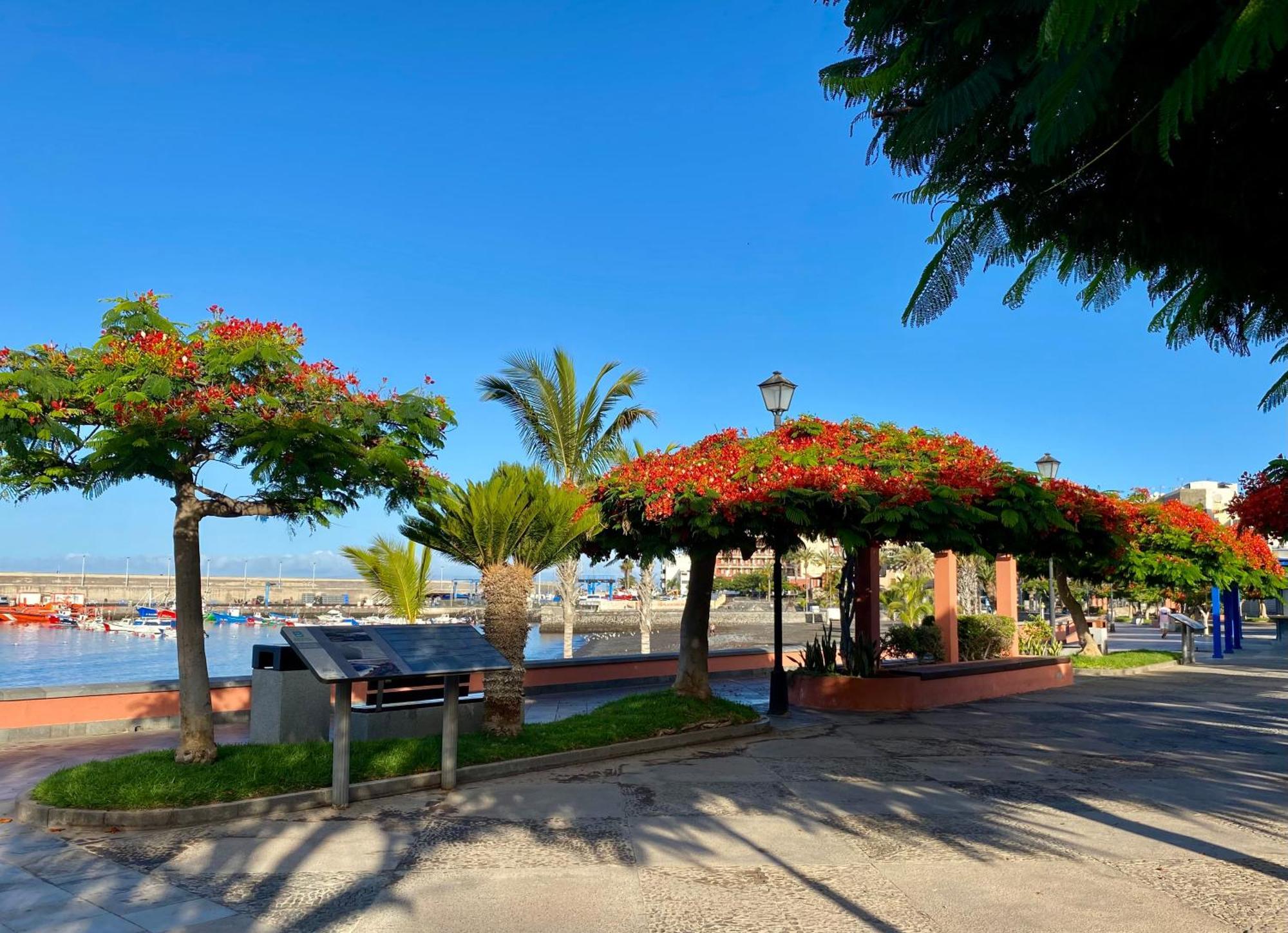 Casa Antonio - Apartamento Luna Playa de San Juan  Buitenkant foto